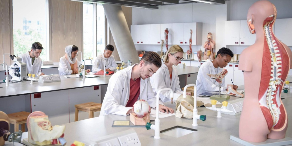 A class of medical students study human anatomy in a lab classroom.